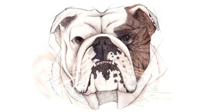 Emmeselle illustration