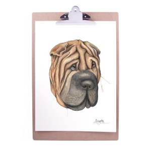 Emmeselle illustrations