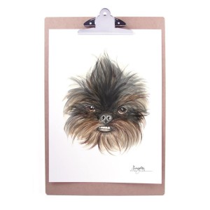 Emmeselle illustrations