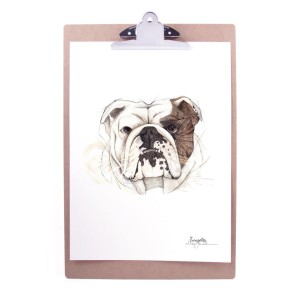 Emmeselle illustrations