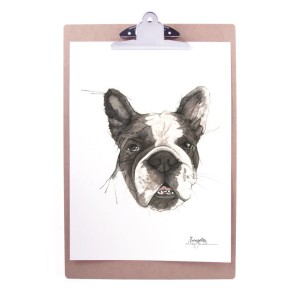 Emmeselle illustrations