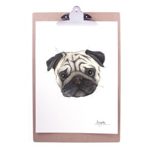 Emmeselle illustrations