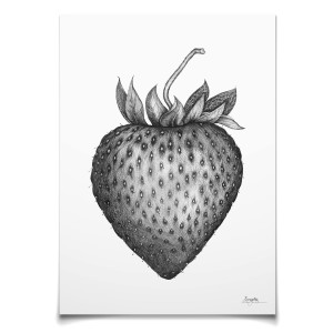 Emmeselle illustrations