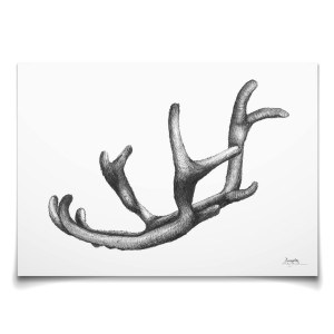 Emmeselle illustrations