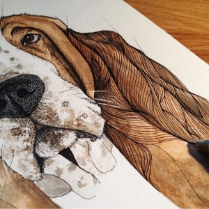 Emmeselle illustrations