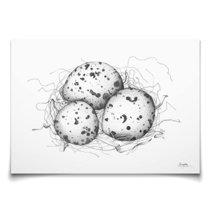 Emmeselle illustrations