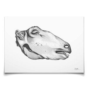 Emmeselle illustrations