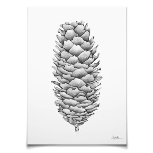 Emmeselle illustrations