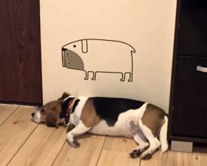 From illustration to running your own shop - Interview with freelance illustrator Ana Banica