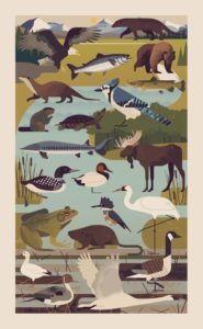 Interview With Illustrator Owen Davey