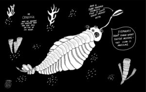 Interview With Maja Säfström: The Word "Ikigai" Is How I Define Success