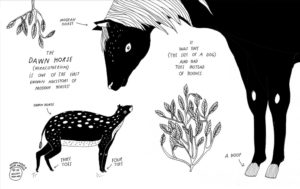 Interview With Maja Säfström: The Word "Ikigai" Is How I Define Success