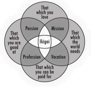 Interview With Maja Säfström: The Word "Ikigai" Is How I Define Success