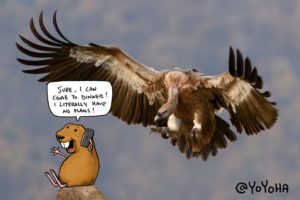 Interview with Josh Hara: I hope my coffee illustrations don't come to life