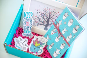 Miruna's Illustration Box - Creative Entrepreneur Lessons
